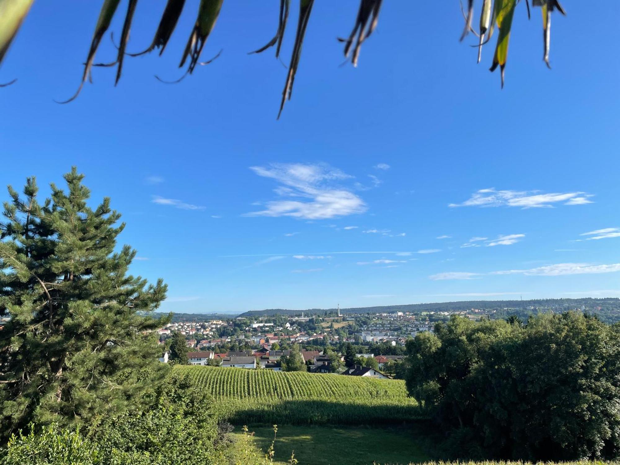 Tiny-House Mit Alpen- Stadt- Und Poolblick , Wlan Pasov Exteriér fotografie